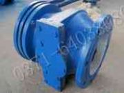 ����(y��ng)SSLW��ǰ��s�^�V��(�D)