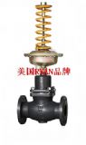進(jìn)口調(diào)節(jié)閥 自力式(閥后)壓力控制閥 美國ryan瑞恩