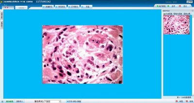 ���t�����b������ϵ�y