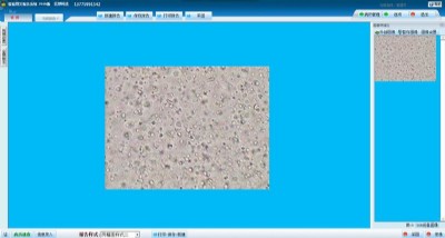 �z�D�Ĉ��ϵ�y