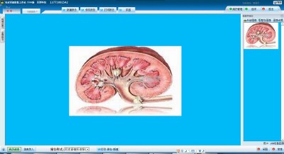 ��(j��ng)Ƥ�I�RӰ����վ