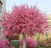 ���ψ@ˇ���a(ch��n)�����S��ӆ�Ʒ����һ���