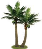 ���I���a����ֲ��S��ӆ�Ʒ���Ҭ�Ә�