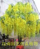 �S�Ҍ��I(y��)ӆ�Ʒ��氢���՘�