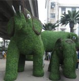 ���ڷ���ֲ��S��ӆ�Ʒ���G�� �������G��