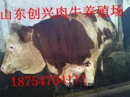 ������ţ�Bֳ��,������ţ�Bֳ������