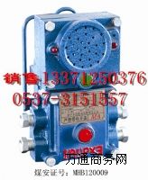 ��������̖���|�_�C�ֱ�N