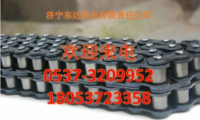 �����|�_�Ą�朗l�r�񌍻�