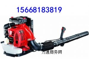 ��ؓʽ���L�C