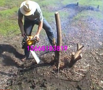 5800 �����