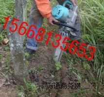 �����f�ΏS��ֱ�N����������C