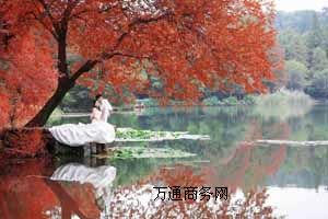 ����ʥ�zӰ���⾰�鼆�Ո�r�����鼆�zӰ�����⾰���]