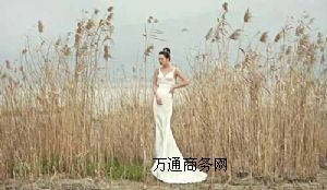 ʥ�zӰ���ݻ鼆���xʲô�������＾�Ļ鼆���⾰�����]