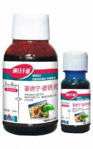 �M��ǧ��(50%ή�Pή�P�`)�����P����Чˎ