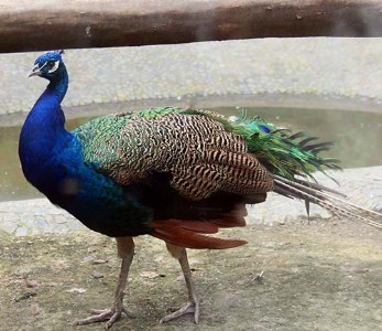 �ϲܜ\Մ��ȸ���m������������