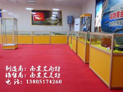 С���չʾ��