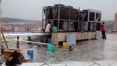 ���������{�S��