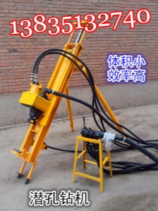 ɽ����ӝ����@�C�S�r���l