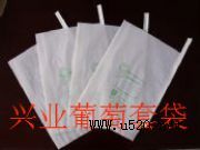 �����״������l(f��)���N�����״��������״�(�D)