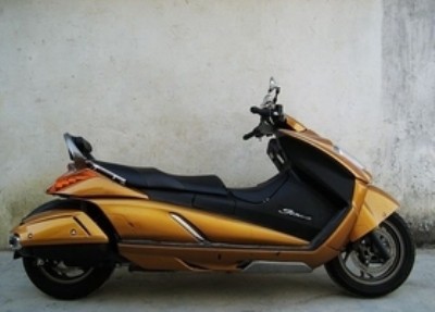 �����ľgemma250