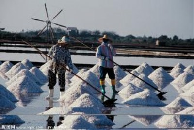 �M�ڼ����}���B���P��z