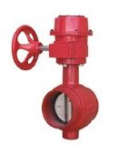 �����������y