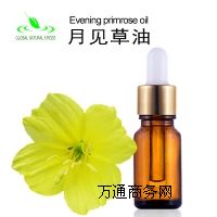 ��Ȼ��Ҋ����CAS90028-66-3