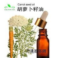 ����Ȼ���}������