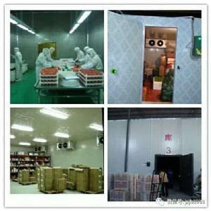 ������칤��