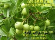 ��������磬��Ʒ�N�����磬�߮a������(�D)