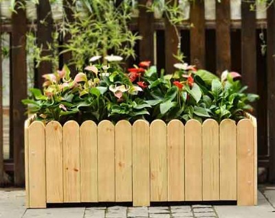 ͥԺ����ľ��������c(di��n)�c��(y��ng)��