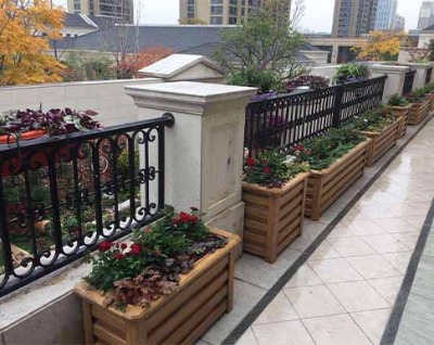 �������ľ���������Ҫ���c�Y����