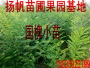 ����(y��ng)��(gu��)��С�磬һ������(gu��)��С�磬��(gu��)��С��r(ji��)��