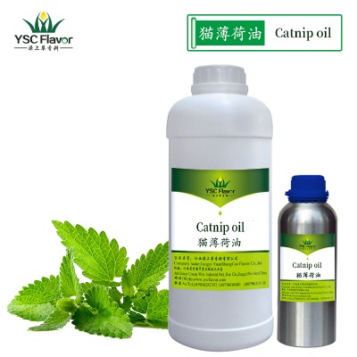 ؈������ �������� С������