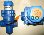 ˹��ɯ�˜p���yBRV2S