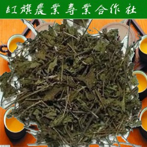 2015Ұ����������l