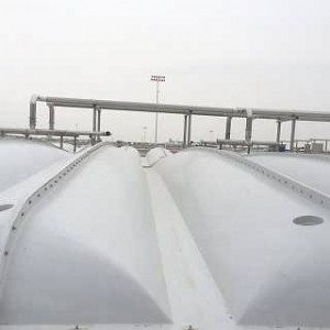 ��ˮ���w�屳�����g