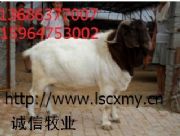 ��ɽ�|ʡ���������c����ɽ���Bֳ����(�D)