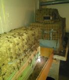 ̩��Ы���B(y��ng)ֳ