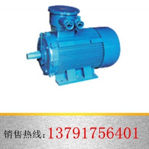 廠家直供yb400-450系列高壓隔爆型防爆電機(jī)