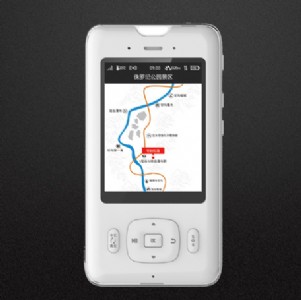 �o������Ԅ��v���� ���^��ӌ���