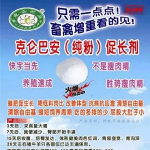 �ˁ��Ͱ��߷� һ��Ͷ�� ʮ���؈��iţ��߷�