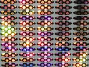 ������N �����z�����̘�(�D)