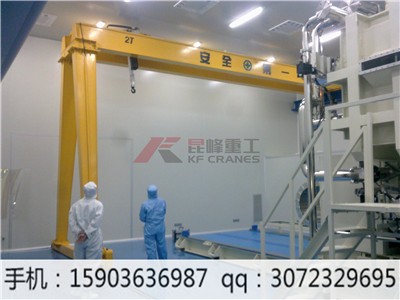 江蘇無(wú)塵室起重機(jī),江蘇無(wú)塵室起重機(jī)價(jià)格