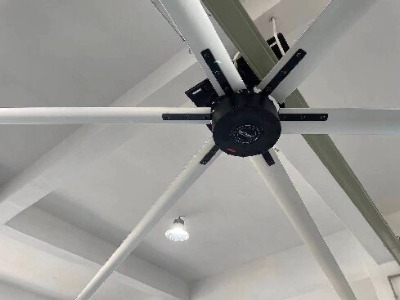 �|��������ֱ�����