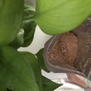 �x�Vˎ�� ˮ���u������a�S��