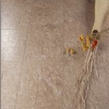 �¿�¡�ذ�-6577(�D)