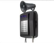 ����U���Ԓ�����վ�{�ȔU��ָ���Ԓ