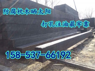 ú�V������ľ �V���ͽ���ľ