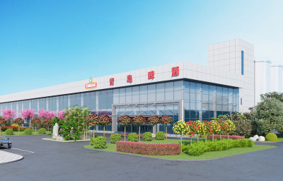 ���S��Ч���D����|�����≦|�����B�[�D